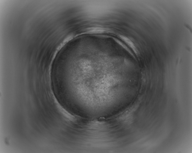 X0000097461475200803071620