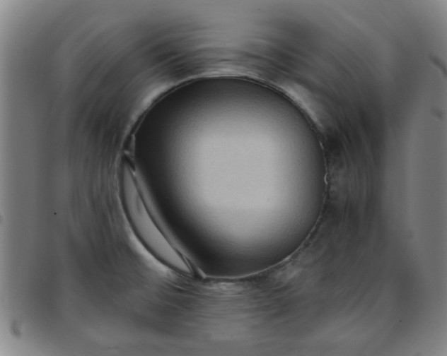 X0000097461476200803071620