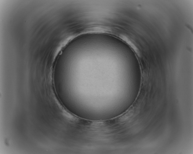 X0000097461477200803071620