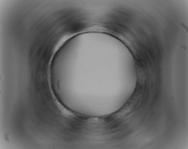 X0000097461478200803071620