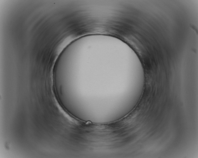 X0000097461479200803071620