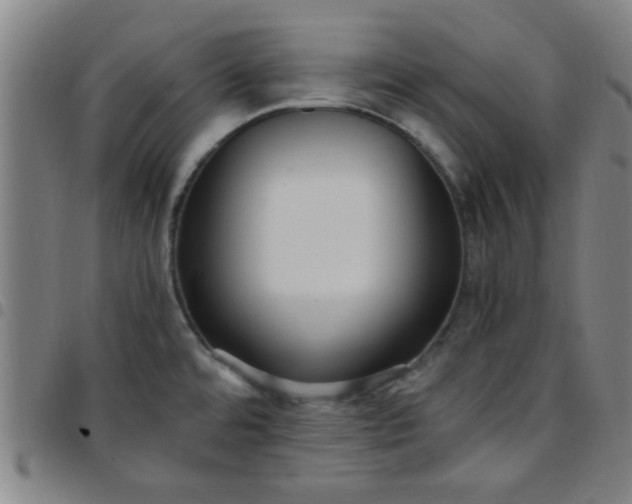 X0000097461480200803071620