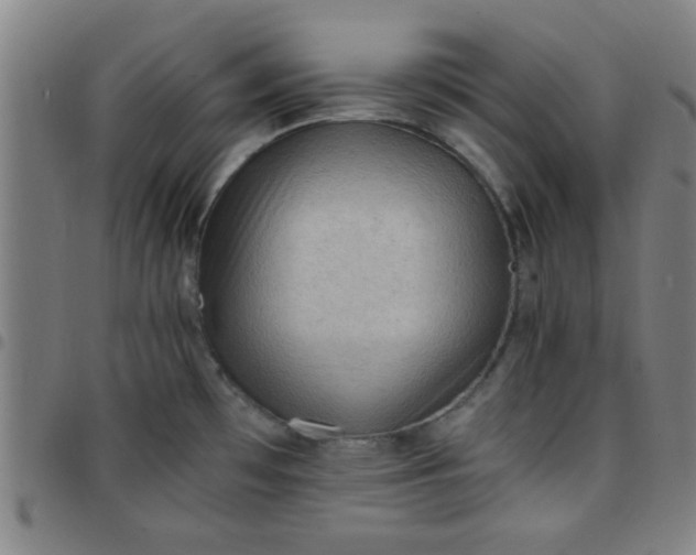 X0000097461481200803071620