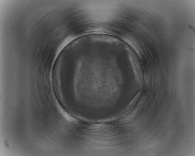 X0000097461482200803071620