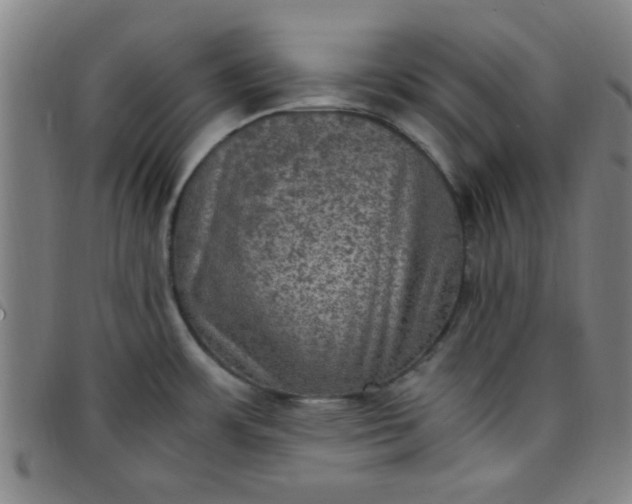 X0000097461483200803071620