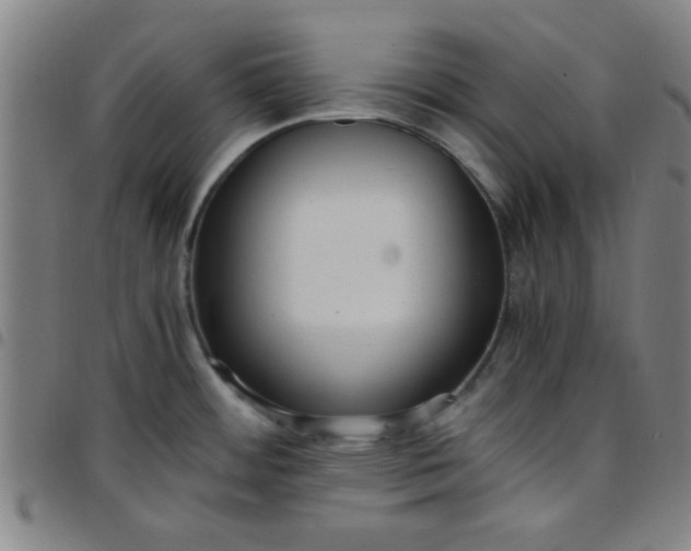 X0000097461484200803071620