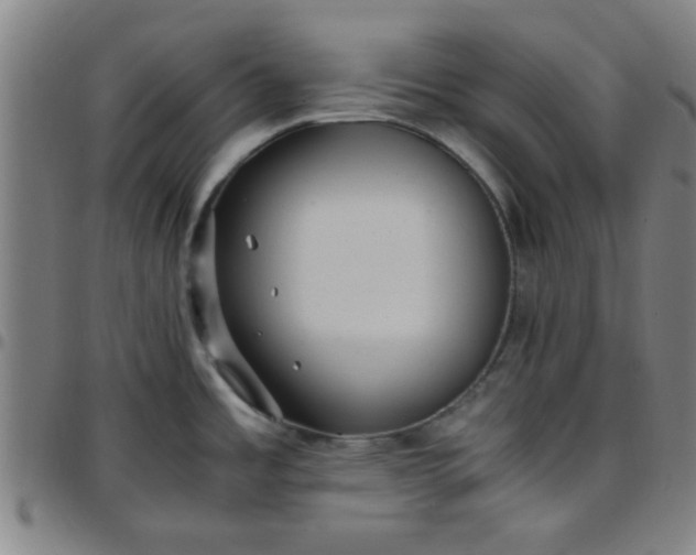 X0000097461485200803071620