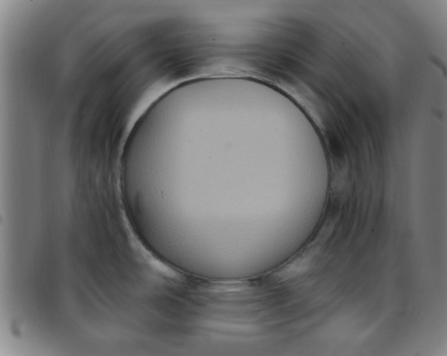 X0000097461486200803071620