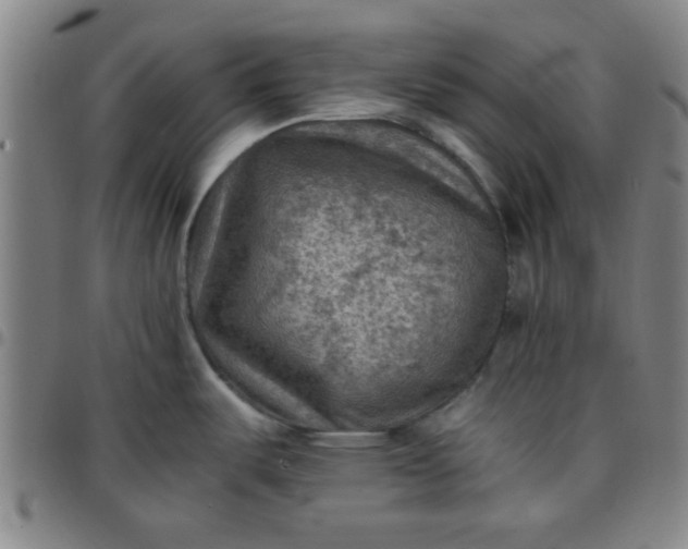 X0000097461487200803071620