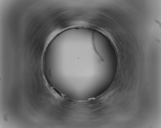 X0000097461488200803071620