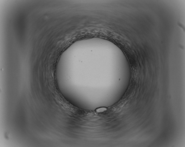 X0000097461489200803071619