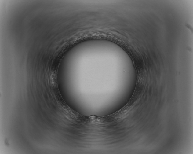 X0000097461490200803071619