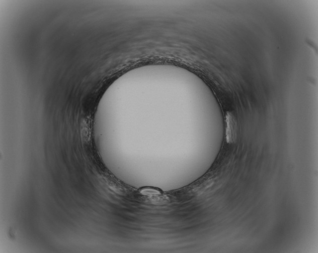 X0000097461491200803071619