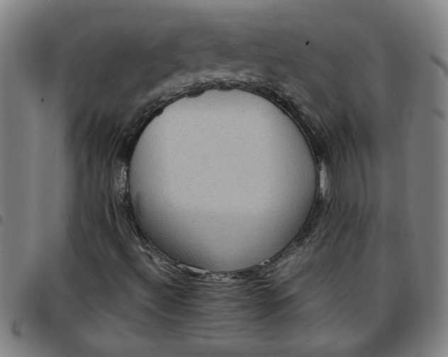 X0000097461492200803071619