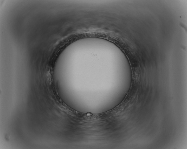 X0000097461493200803071619