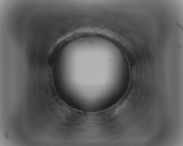 X0000097461494200803071619