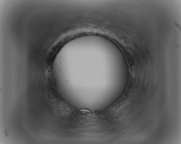 X0000097461495200803071619