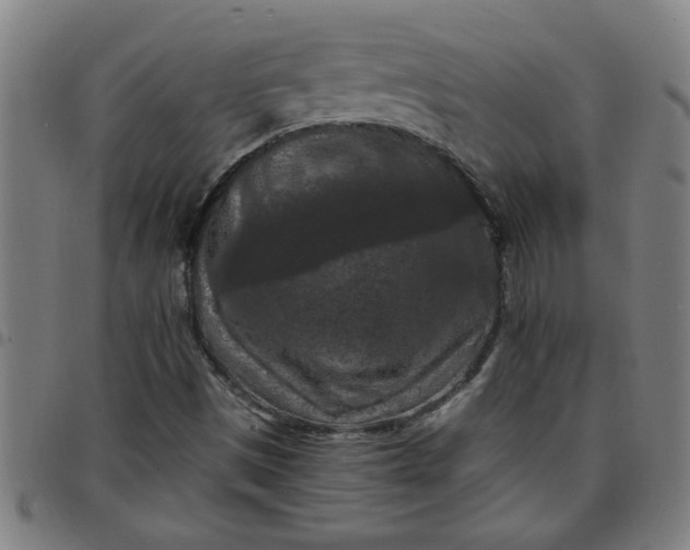 X0000097461497200803071619