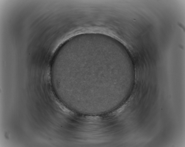 X0000097461498200803071619