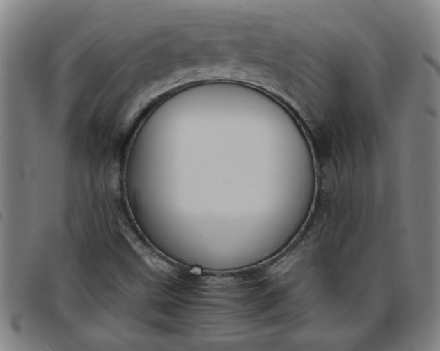 X0000097461499200803071619