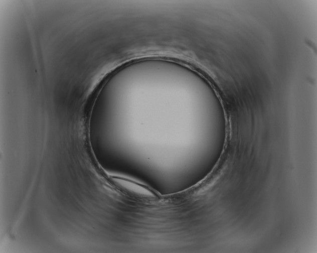 X0000097461501200803071619