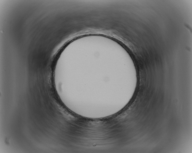 X0000097461502200803071619