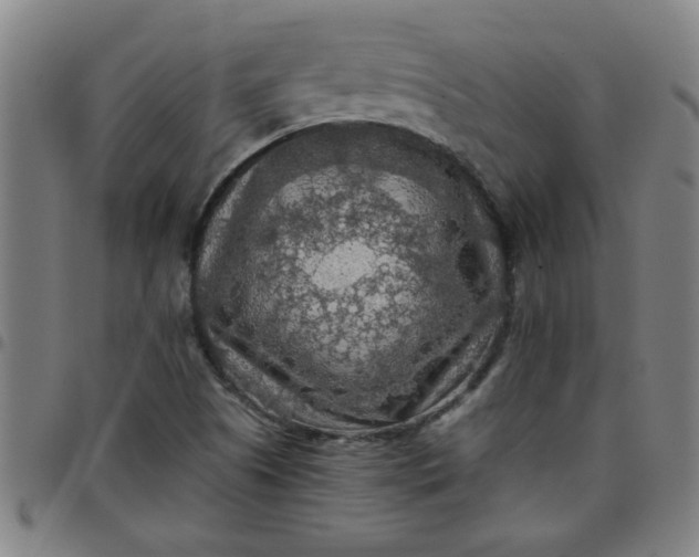 X0000097461505200803071619