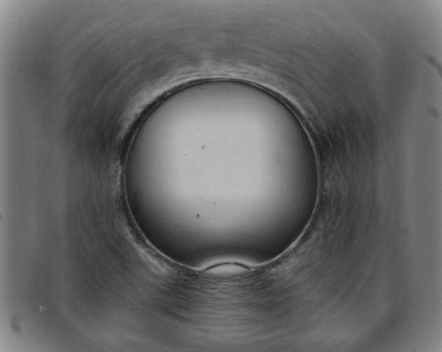 X0000097461507200803071619