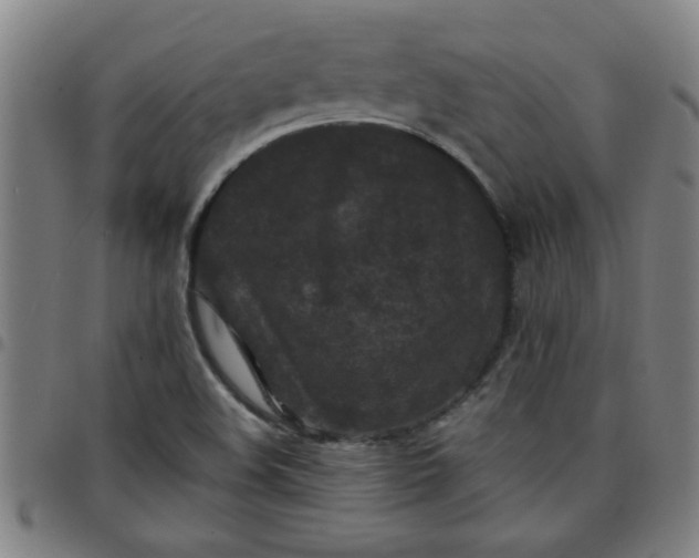 X0000097461508200803071619