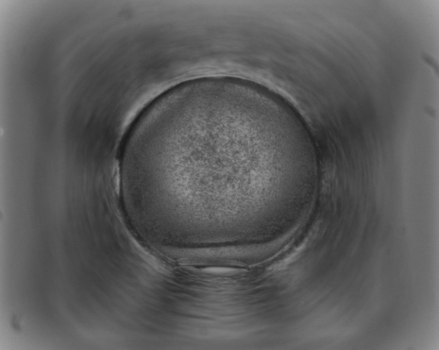 X0000097461509200803071619