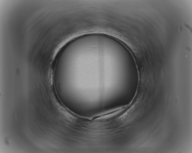 X0000097461510200803071619