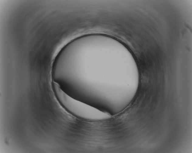 X0000097461512200803071619