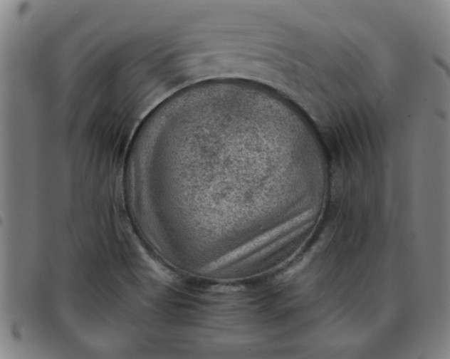 X0000097461513200803071619