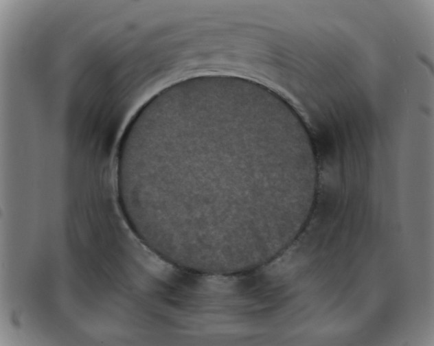 X0000097461514200803071619