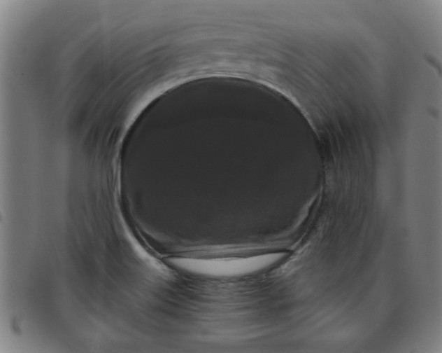 X0000097461515200803071619