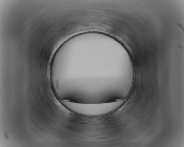 X0000097461516200803071619