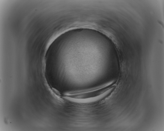 X0000097461520200803071619