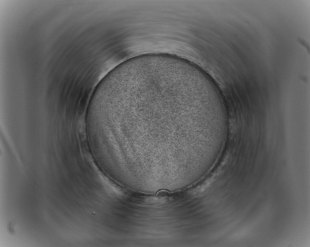 X0000097461521200803071619