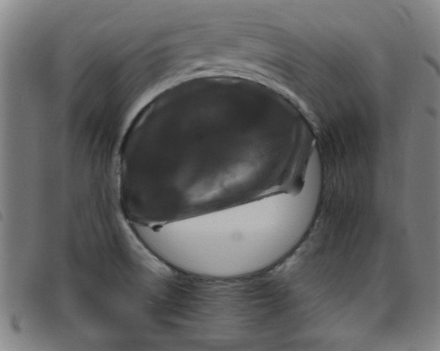 X0000097461522200803071619