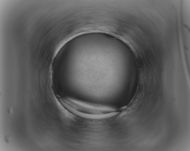 X0000097461524200803071619