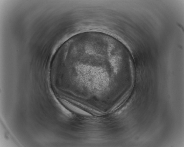 X0000097461525200803071619