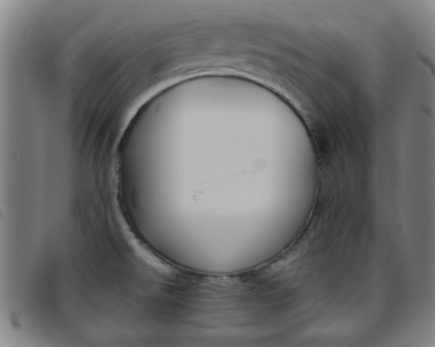 X0000097461526200803071619