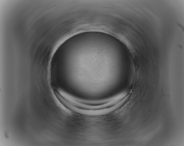 X0000097461528200803071619