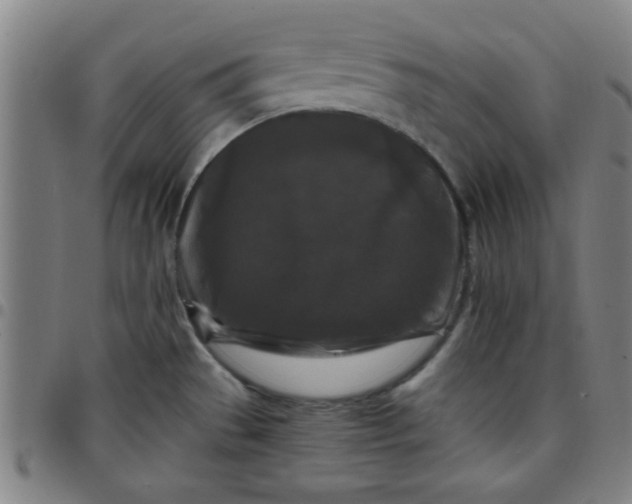 X0000097461529200803071619