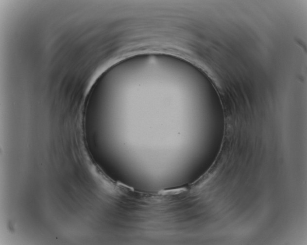 X0000097461530200803071619