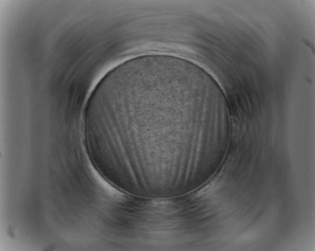 X0000097461531200803071619