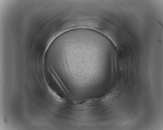 X0000097461532200803071620