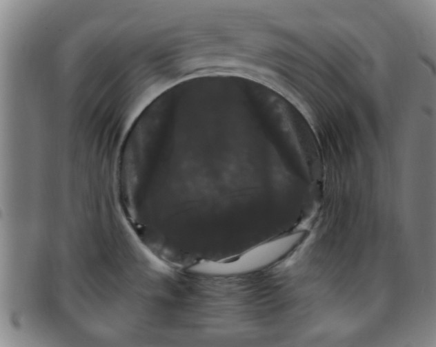 X0000097461533200803071620