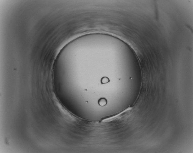 X0000097461534200803071620