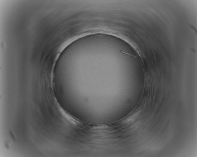 X0000097461535200803071620